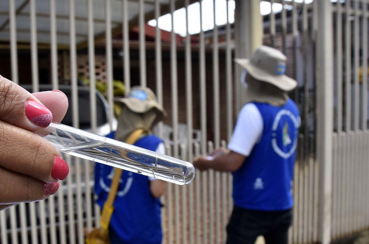 Dengue deixa de ser doença sazonal e afeta saúde pública o ano todo DF POST