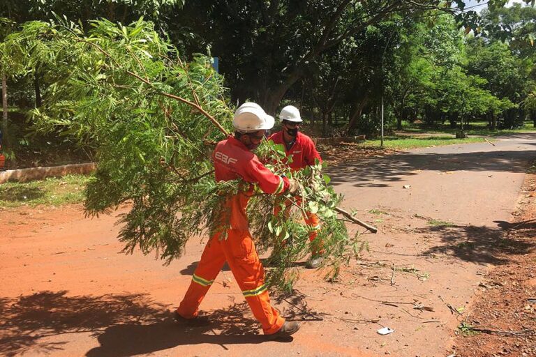 Parque do Paranoá é incluído na lista das unidades de conservação e parques que receberão força-tarefa do governo