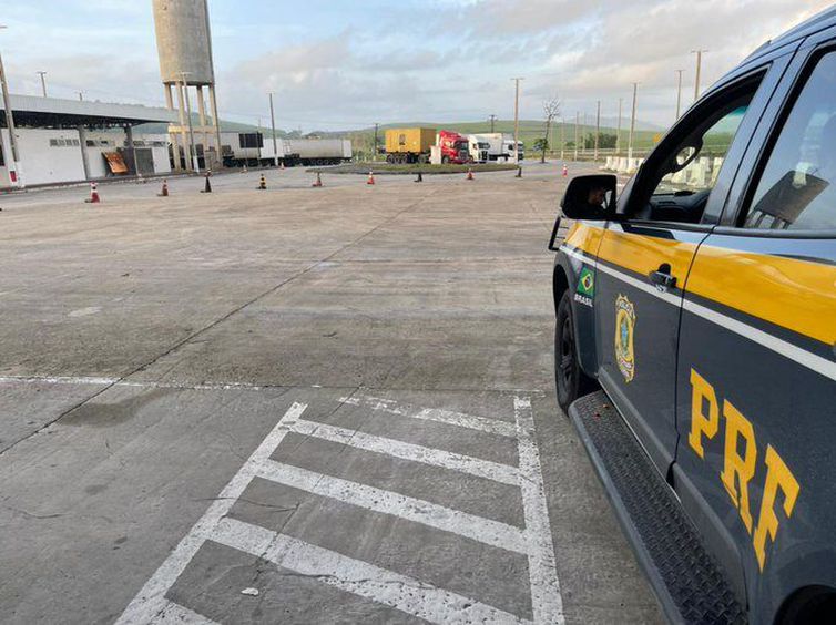 PRF faz apreensão recorde de maconha em Mato Grosso do Sul