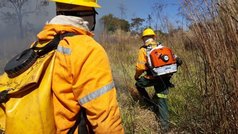 Inscrições para brigadistas abrem nesta quarta-feira (29)