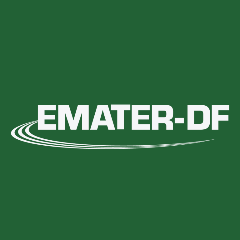 Emater-DF realiza curso EaD para boas práticas na pequena agroindústria rural