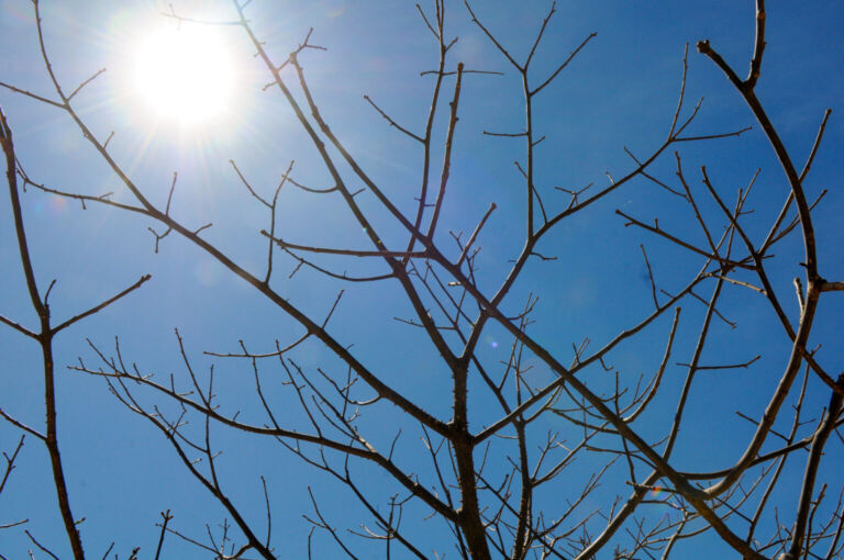 O Distrito Federal entra em estado de alerta devido a onda de calor