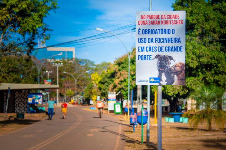 Parque da Cidade alerta sobre uso de equipamentos de segurança para cães