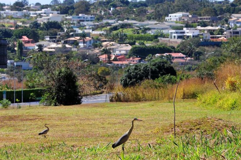 Câmara Legislativa aprova concessão de áreas públicas no Lago Sul e Lago Norte