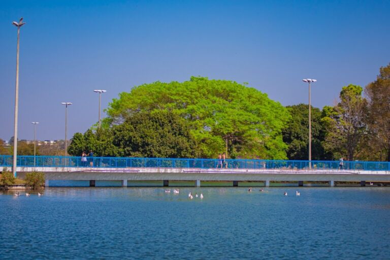 Lago do Parque da Cidade receberá nova operação de limpeza