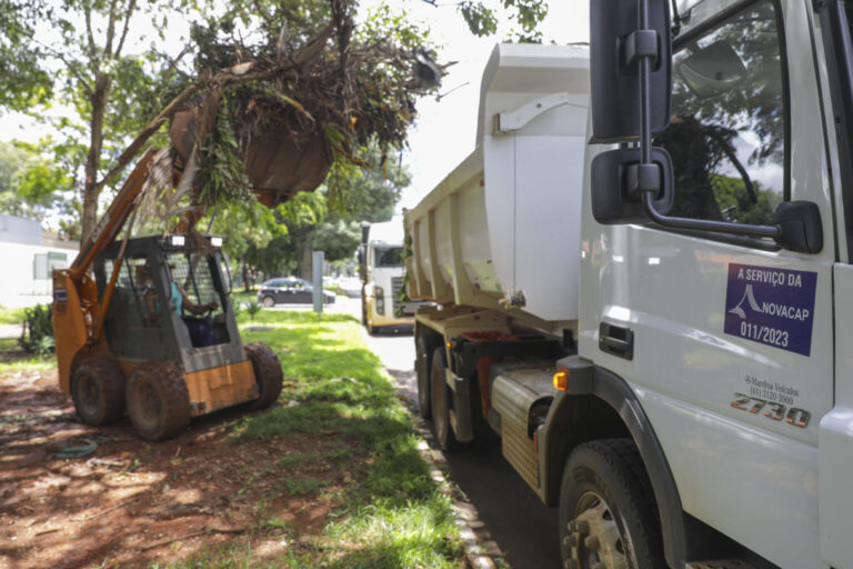 Operação de recolhimento de resíduos vegetais começa pelo Plano Piloto