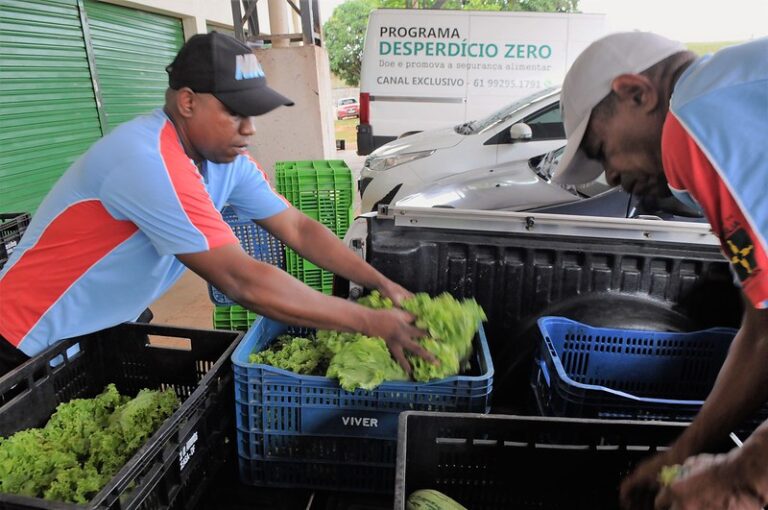 Selo Desperdício Zero: Iniciativa governamental reforça combate à fome no Distrito Federal