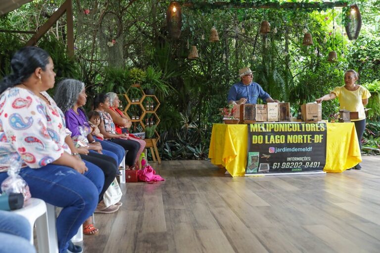 Mulheres agricultoras de Planaltina exploram a meliponicultura para diversificar renda