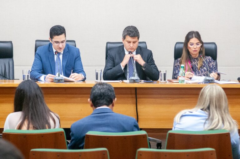 Comissão da Câmara Legislativa aprova medidas para segurança e assistência social