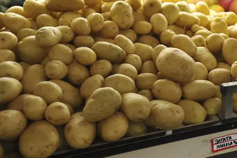 Alimentos verduras legumes 