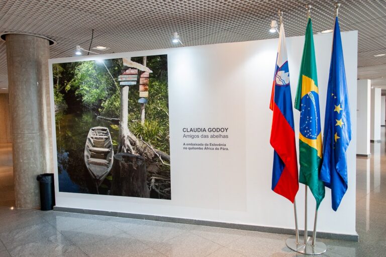 Câmara Legislativa recebe exposição sobre apicultura apiculturaem comunidade quilombola