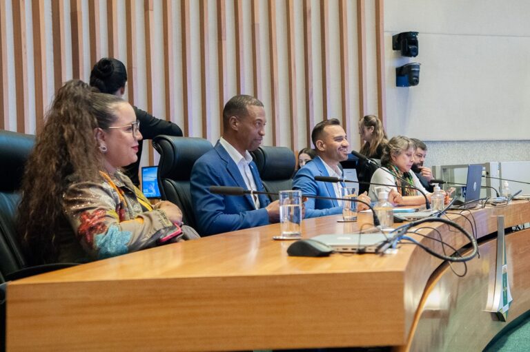 Câmara Legislativa homenageia Conselhos Tutelares em sessão solene