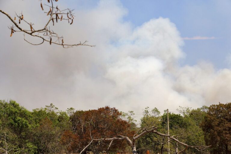 O GDF apura possível ação criminosa no incêndio que atinge o Parque Nacional de Brasília