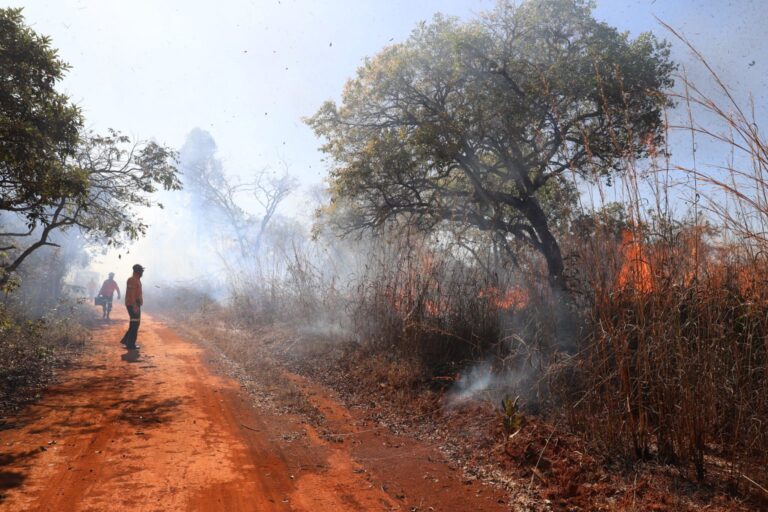 Conheça os Canais para Denunciar Incêndios Florestais no DF