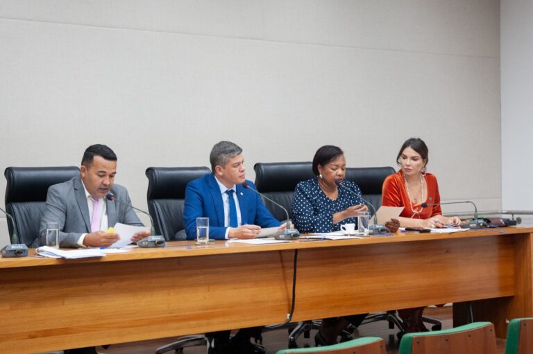 Câmara Legislativa debate queimadas e aprova projetos de proteção ambiental no DF