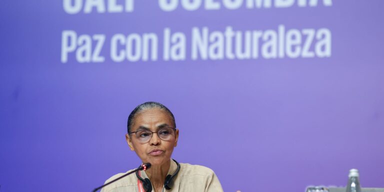 Marina Silva defende indígena detida na COP16 durante protesto