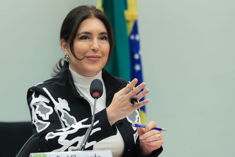 Lula Marques/Agência Brasil Brasília (DF), 09/07/2025 - Ministra do Planejamento e Orçamento, Simone Tebet, durante audiência pública em Três comissões da Câmara. Foto: Lula Marques/Agência Brasil