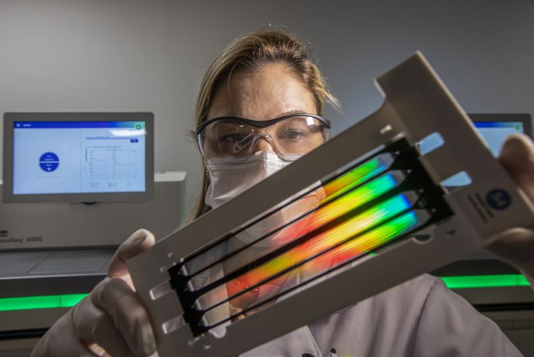 Brasília (DF),  27/02/2026 -  Dia Mundial das Doenças Raras -  Laboratório do projeto Genomas Raros, realizado em parceria do Einstein Hospital Israelita com o Ministério da Saúde
Foto: Divulgação/ Einstein