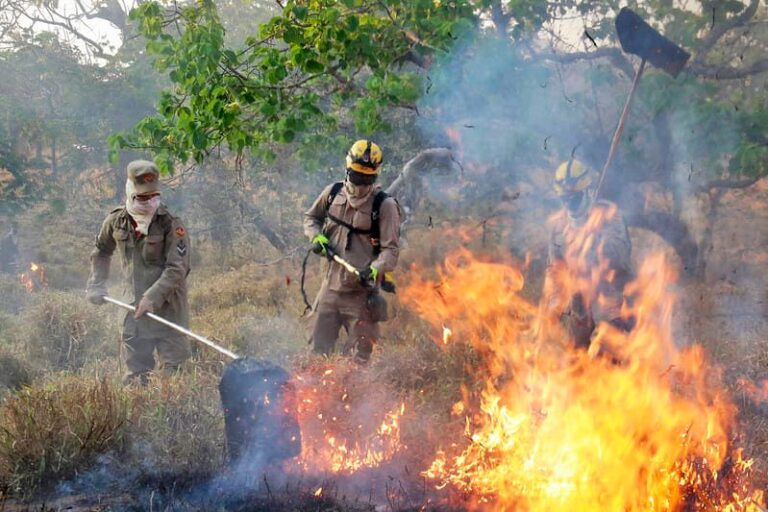 Aberta chamada pública para projetos que visam prevenir incêndios no Cerrado